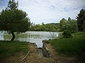 Vue sur le lac.