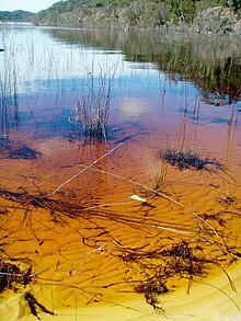 Shallow waters on the shore of Lake Boomanjin, showing the water’s reddish hue from tannins.