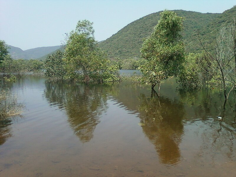 File:Lake in midst of Eastern ghats of AP INDIA.jpg