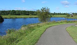 Lake on the Poddle in Tymon Park (E), M50 in background (geograph 3545710).jpg