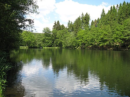 Landeskroner Weiher aus SO