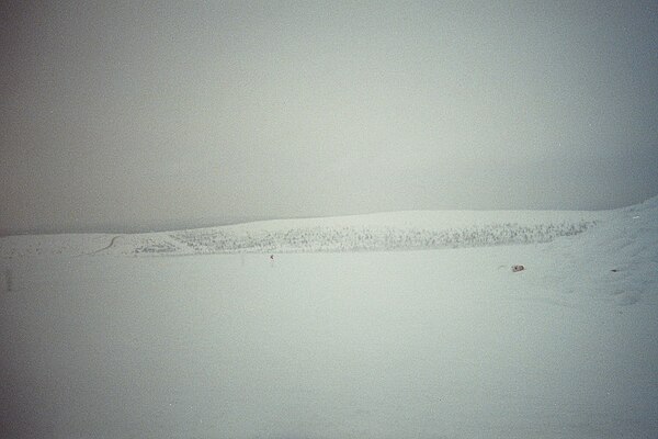 A snowy landscape of Inari located in Lapland (Finland)