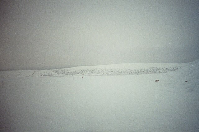 A snowy landscape of Inari located in Lapland (Finland)