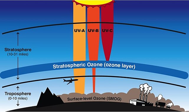The ozone layer in the stratosphere blocks harmful UV radiation from reaching the surface of the Earth. A gamma ray burst would deplete the ozone laye