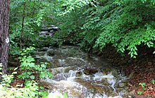 Lead Run looking upstream