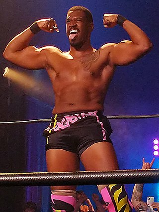 <span class="mw-page-title-main">Lee Moriarty</span> American professional wrestler