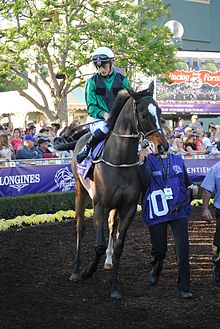 Limato before the 2016 Breeders' Cup Mile with jockey Harry Bentley Limato-2.jpg