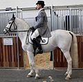 Category:Lipizzaner