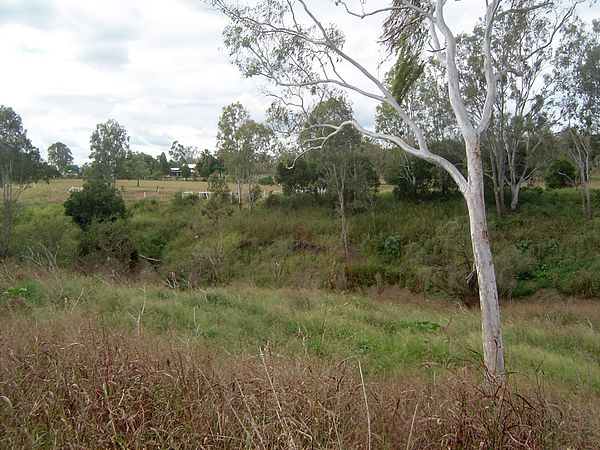 Lower Lockyer Creek, 2011