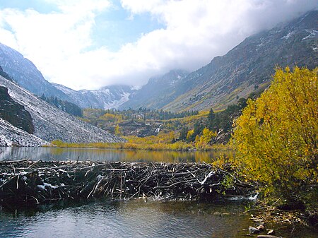 Tập_tin:Lundy_Canyon_Beaver_Dam.jpg