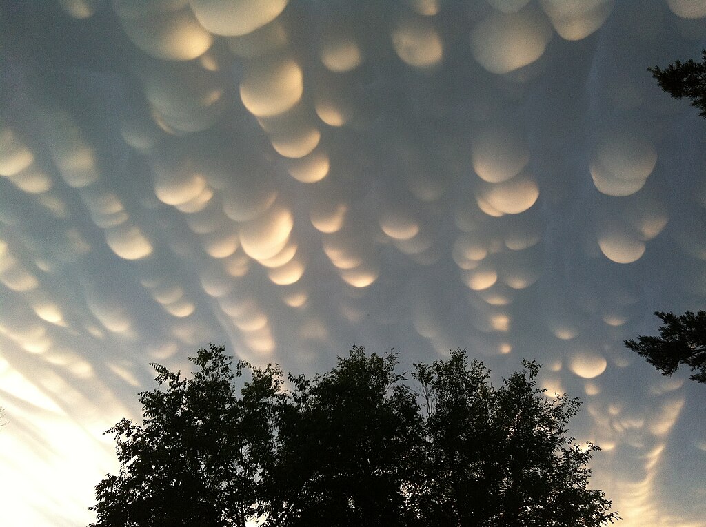 1024px-Mammatus_clouds_regina_sk_june_2012.JPG