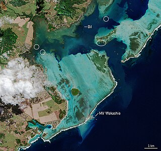 MV <i>Wakashio</i> oil spill 2020 oil spillage event on the Mauritius coast arising from a grounded bulk carrier