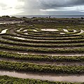 Maze (15529251971).jpg