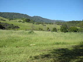 Łąka w Rancho San Antonio County Park.jpg