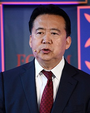 Meng Hongwei.jpg