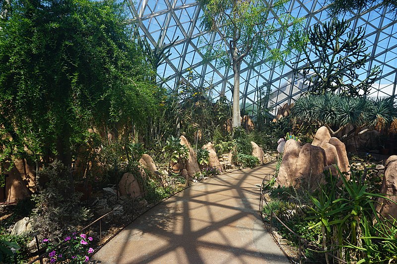 File:Mitchell Park Horticultural Conservatory July 2022 19 (Desert Dome).jpg