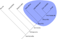 Pisipilt versioonist seisuga 28. jaanuar 2005, kell 12:46