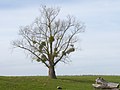 Sur la route de Franxault