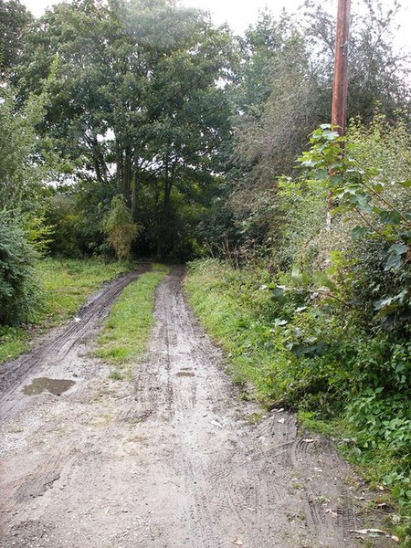 File:Muddy track at Beck Bottom - geograph.org.uk - 990957.jpg