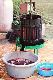 Виноградное сусло стекает из кадки с прессом