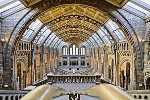 Le hall central du musée d'histoire naturelle de Londres, bâtiment d'architecture victorienne néoromane. (définition réelle 5 182 × 3 454)