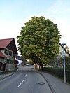 Natural monument 83250690056 Flözlingen.jpg