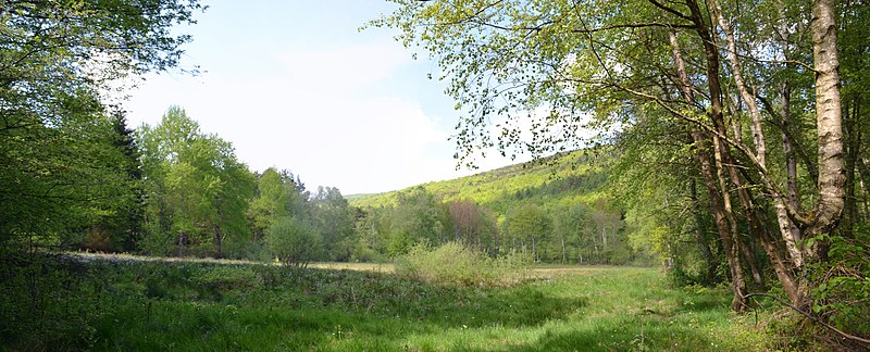 File:Naturschutzgebiet Oberes Emsbachtal.jpg