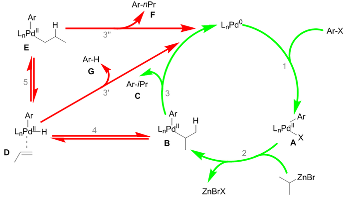 The mechanism of the Negishi coupling Negishi coupling mechanism.png