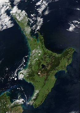 NewZealand.A2002296.2220.250m Солтүстік Айленд өсімдік.jpg