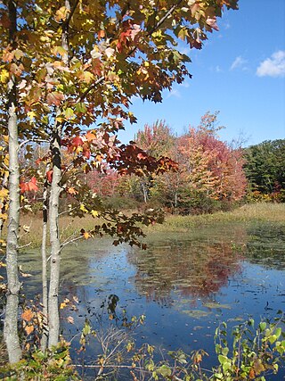 <span class="mw-page-title-main">Verona Beach State Park</span> State park in Oneida County, New York, USA