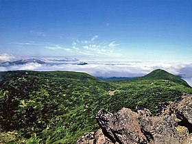 Vista da área de pinheiros anões siberianos do Monte Oakan, em direção ao Monte Meakan.