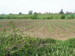 <span class="mw-page-title-main">Greenhill, Evesham</span> Human settlement in England