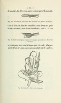 deux côtés (fig. 13) et on opère comme précédemment, c’est-à-dire on fait des entailles à une branche, puis à une seconde, puis à une troisième, puis… et on revient pour recevoir la laque qui s’écoule, à la première branche, puis successivement à toutes les autres. Fig. 13. Instrument pour faire des incisions aux petites branches. Fig. 14. Instrument pour ramasser la laque qui coule des branches. Fig. 15. Entailles faites aux branches.