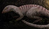 Life restoration of the Late Cretaceous herbivorous dinosaur Oryctodromeus in a burrow Oryctodromeus.jpg