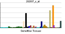 PBB GE SFRP1 202037 s ĉe tn.png