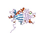 PDB 1fid EBI.jpg