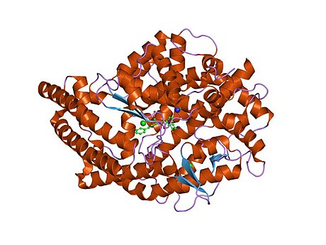 Angiotensiinikonvertaasi