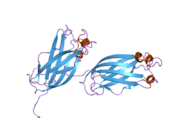 2f1x: Crystal structure of the TRAF-like domain of HAUSP/USP7 bound to a p53 peptide