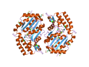 2g09: X-ray structure of mouse pyrimidine 5'-nucleotidase type 1, product complex