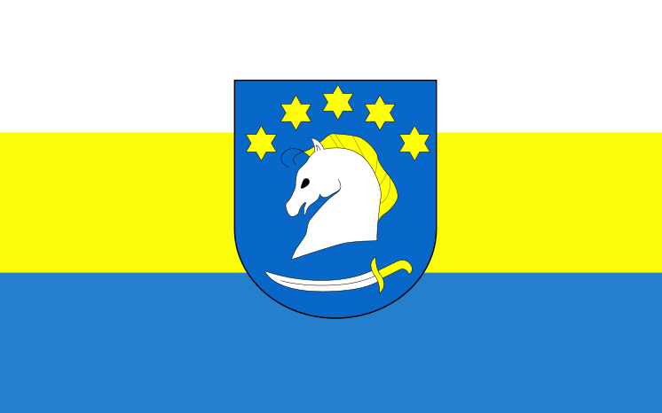 File:POL gmina Dziemiany flag.svg