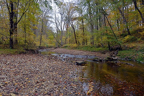 The Paint Branch, a stream in White Oak, Maryland