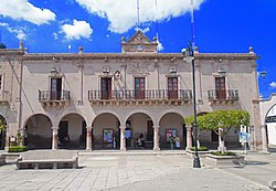 Municipio De San Miguel El Alto: Heráldica, Historia, Demografía