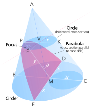 BC and PK are diameters of circular horizontal conic sections. PK has a midpoint V, forming radius VK, or r. DE is a chord of the lower circle, with its midpoint M. P is the vertex of the parabola, and F is its focus. y is the length of PM, and x is the length of DM or EM. θ represents the inclination of the parabola away from being vertical.