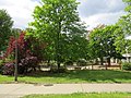 Park und Grünanlage in Alt-Hohausen, 2020.05-16 ama fec (4).JPG