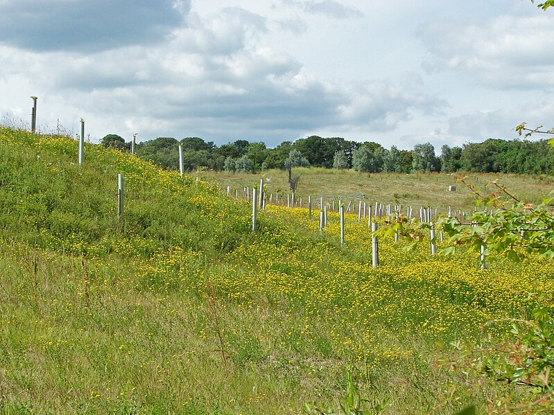 File:Partially landscaped sandpit - geograph.org.uk - 4056176.jpg