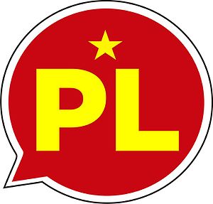 Perú Libre: Historia, Posiciones políticas, Nomenclatura