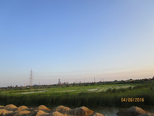 Fields near Phaphund