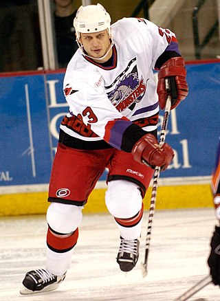 <span class="mw-page-title-main">Pavel Brendl</span> Czech ice hockey player (born 1981)