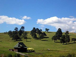 Zlatibor mountain region situated in the western part of Serbia