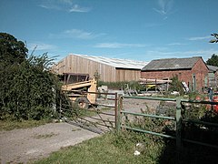 Picton Gorse - geograph.org.uk - 36554.jpg